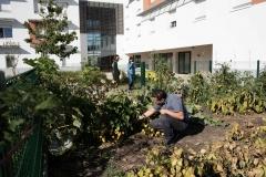 Reportage résidence Sénart